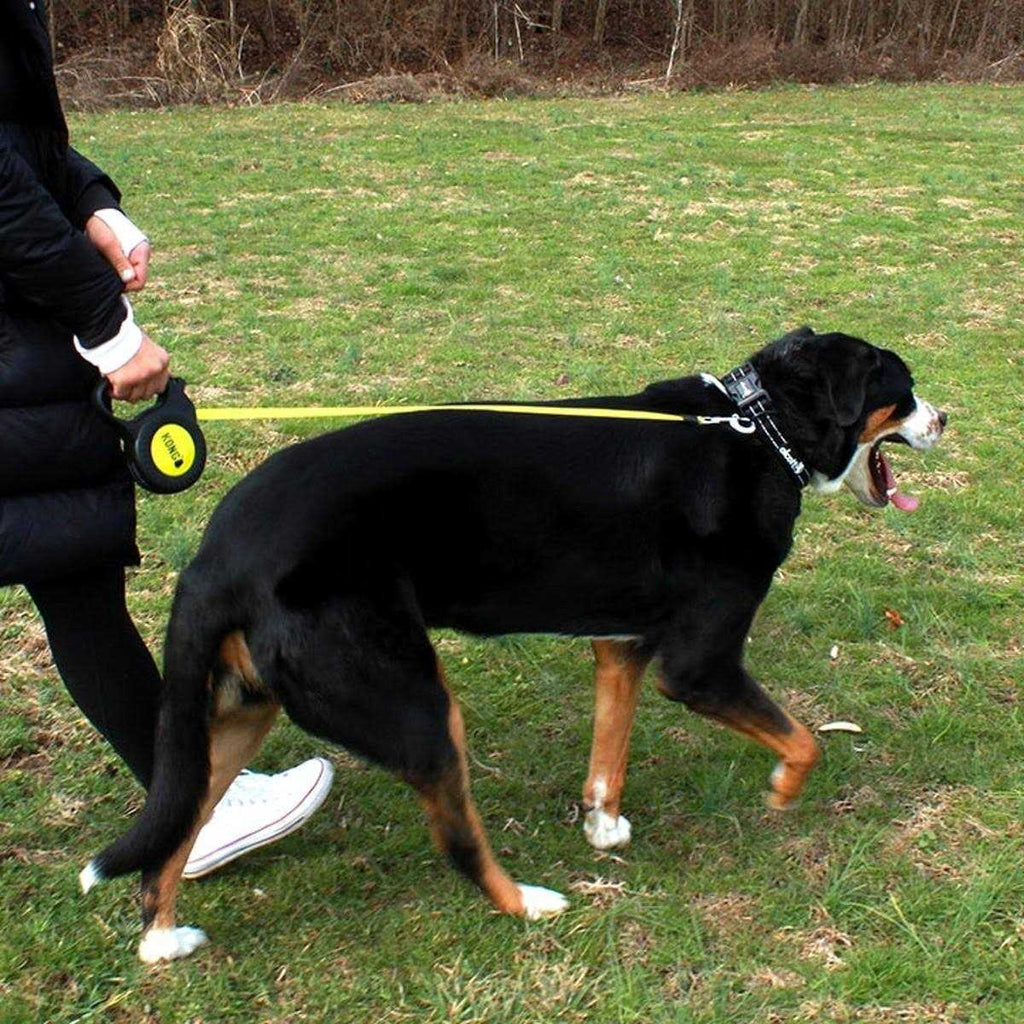 Retractable Leash K22458