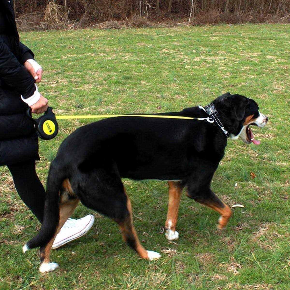 Retractable Leash K22458