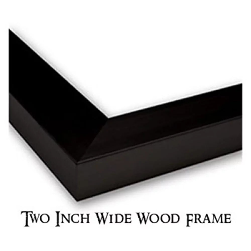 11x14 Black Framed Art Print W722