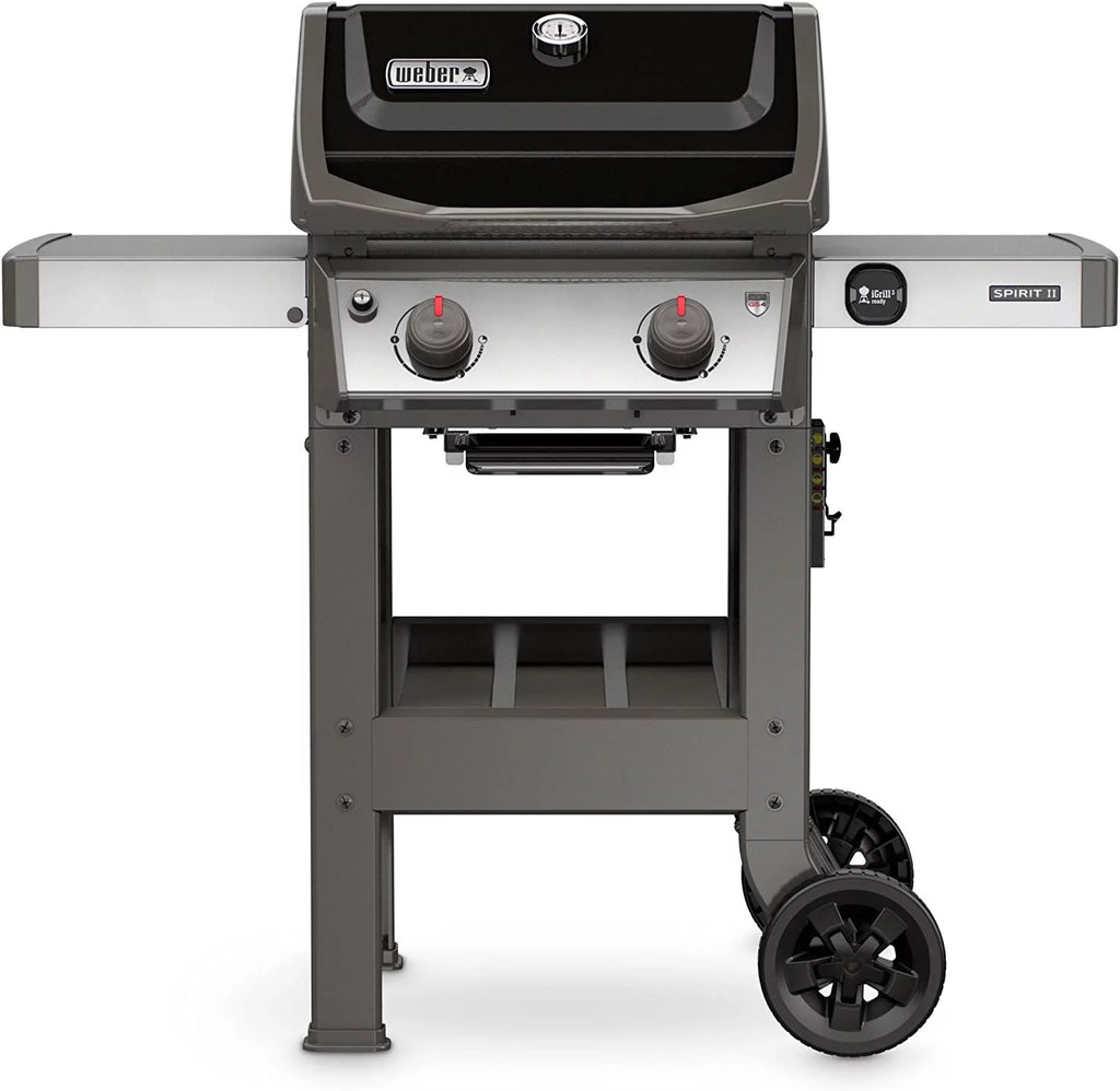 Black 2-Burner Liquid Propane Grill M128791