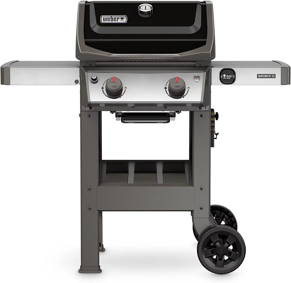 Black 2-Burner Liquid Propane Grill M128791