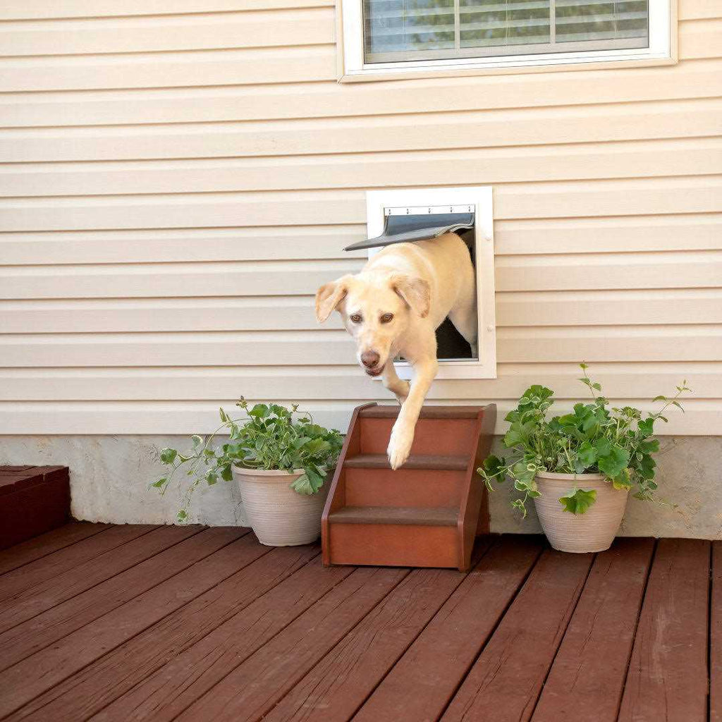 Wall Entry Pet Door I269763