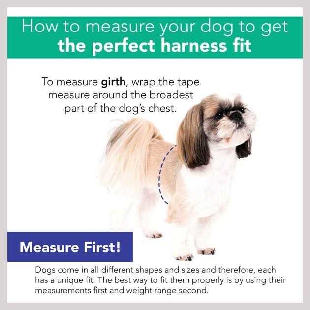 Mesh Harness M80745