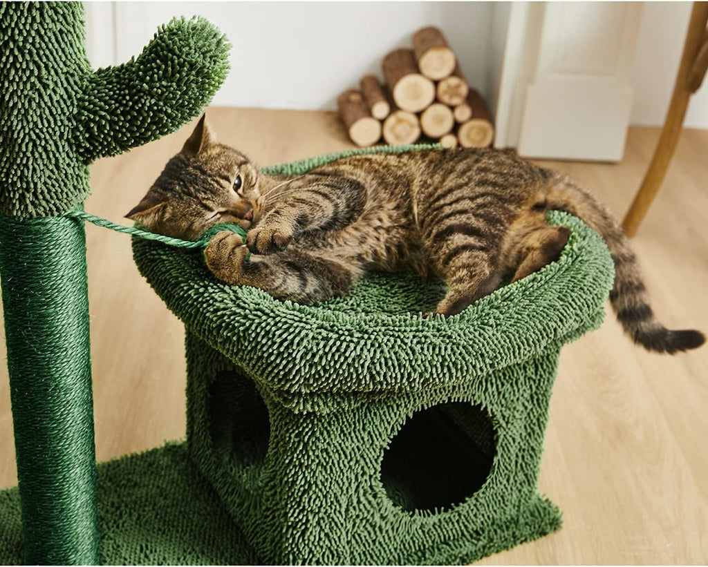 Green Cat Scratching Post Kitty Condo with Dangling Ball F831