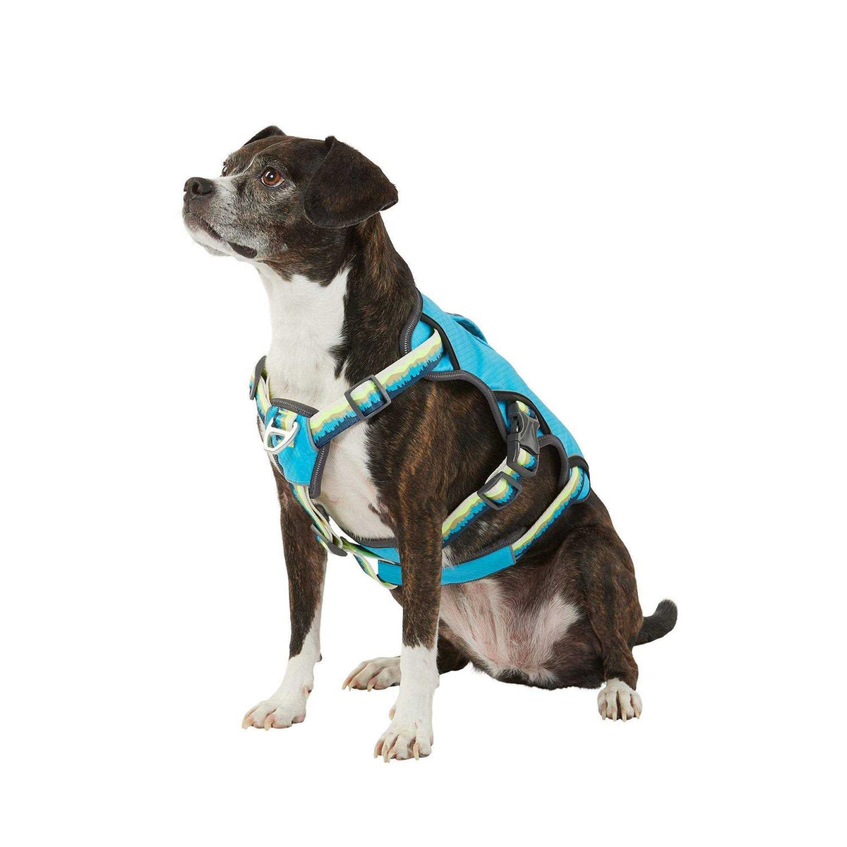 LED Dog Harness R103
