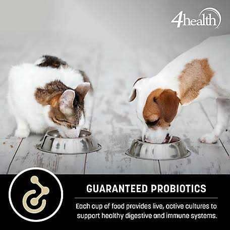 Sensitive Skin Formula Dry Dog Food O238454