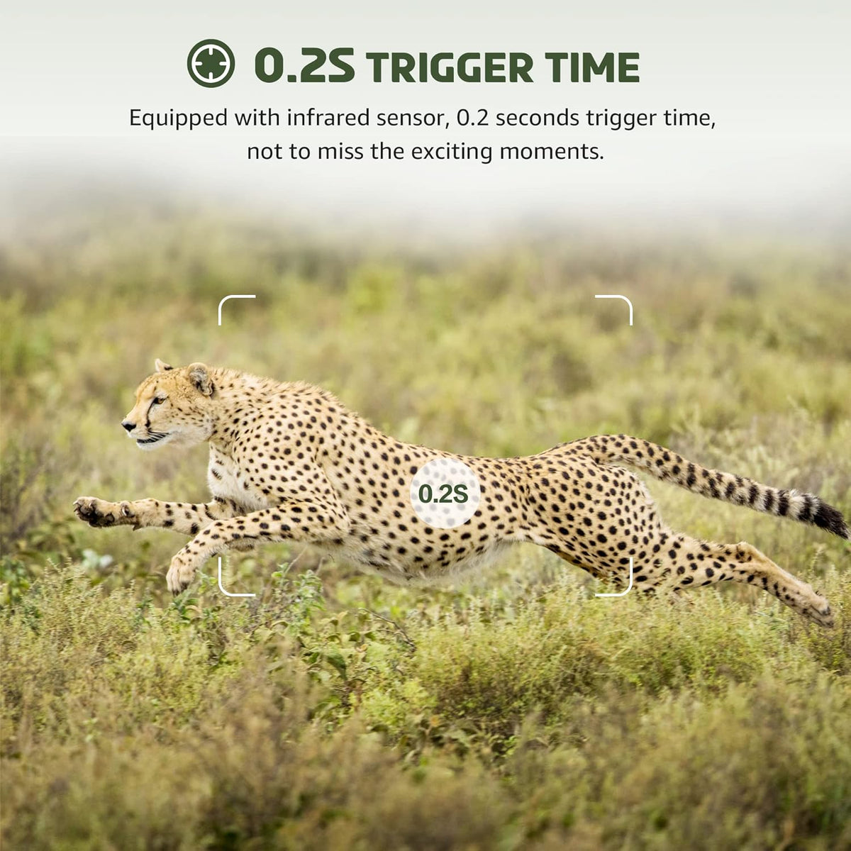 2.7K 36MP Game Camera 0.2S Trigger 65ft Range No Glow Night Vision 120° Angle IP66 Waterproof 32GB Card Pack of 2 P632