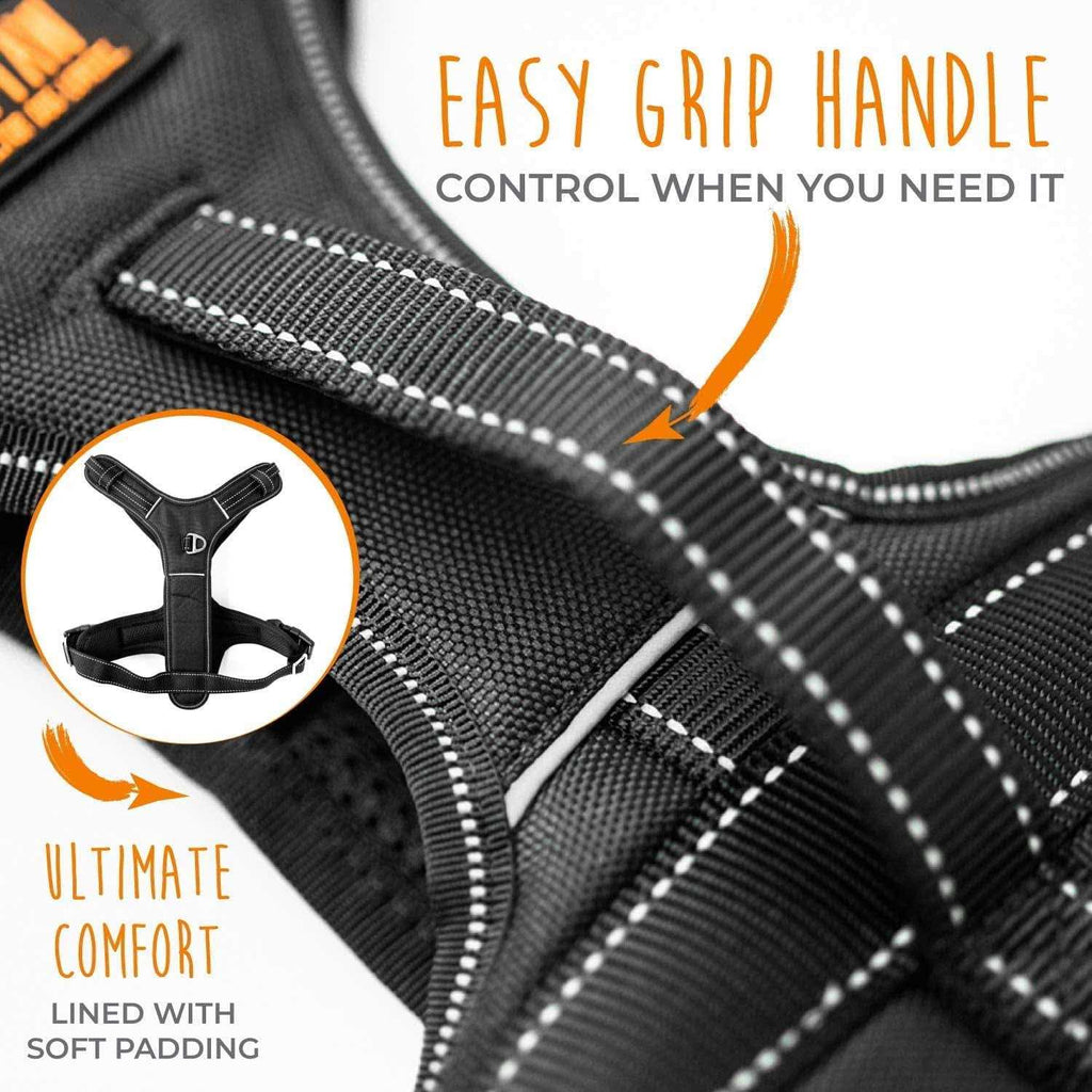Padded Dog Harness C8102