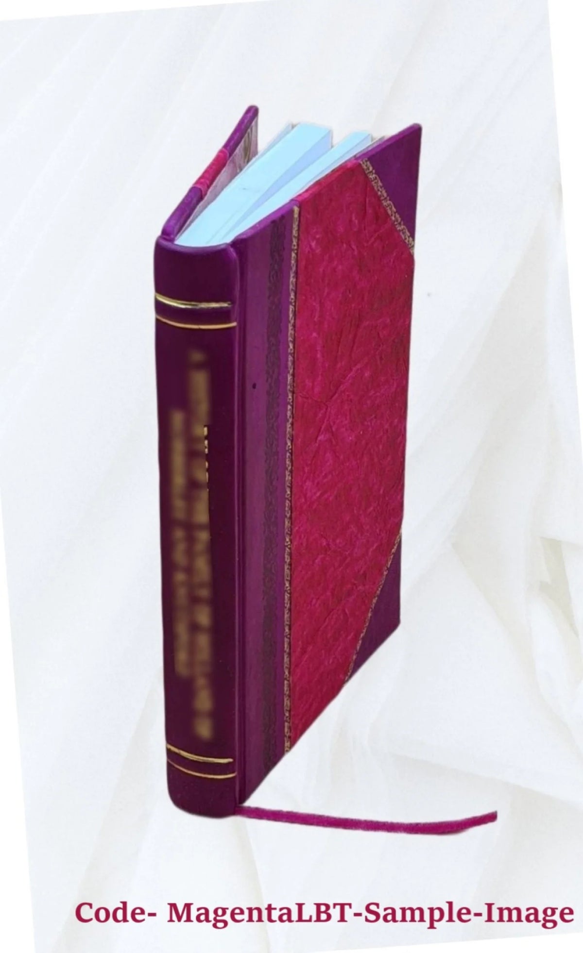 Hernia Leather Bound R460971