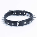Dog Collar S600531
