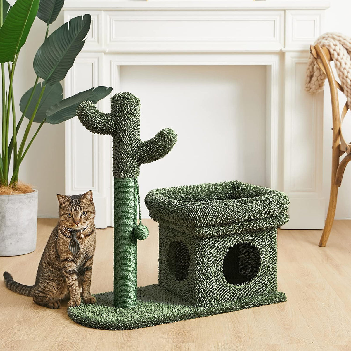 Green Cat Scratching Post Kitty Condo with Dangling Ball F831