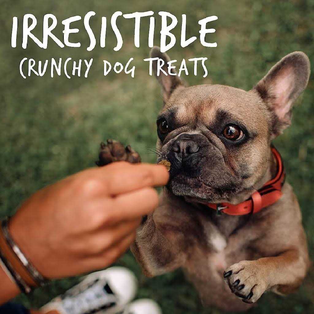 Crispy Bacon Apple Dog Treats B14805