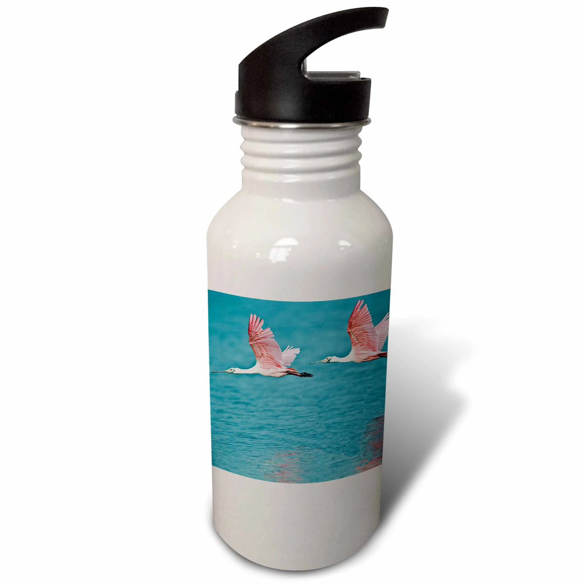 Roseate Spoonbill Birds Sports Water Bottle F4426