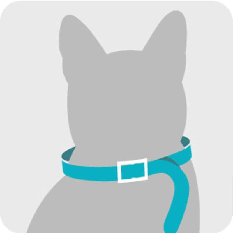 Flea & Tick Collar for Cats J21279