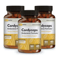 Caffeine Free Organic Mushroom Extract Supplement 3-Pack Q34766