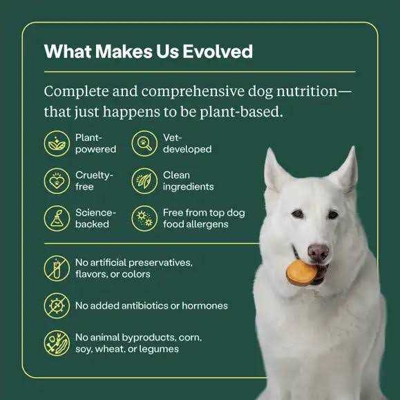 Dry Dog Food V65028