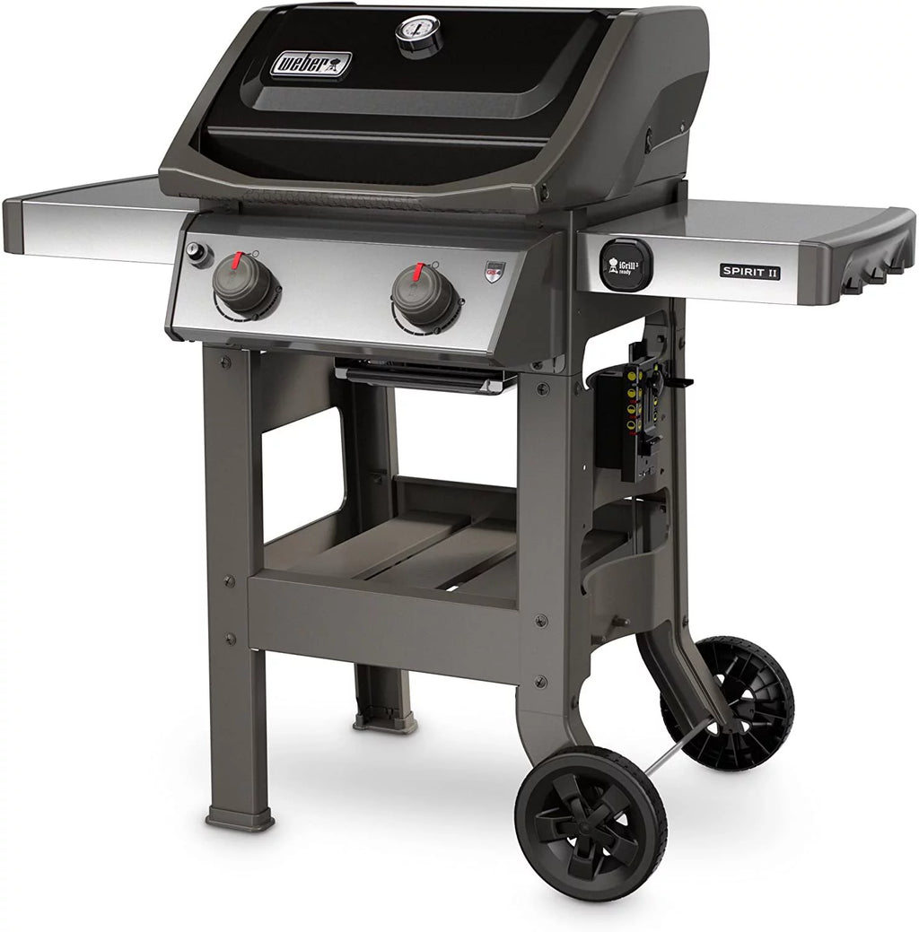Black 2-Burner Liquid Propane Grill M128791