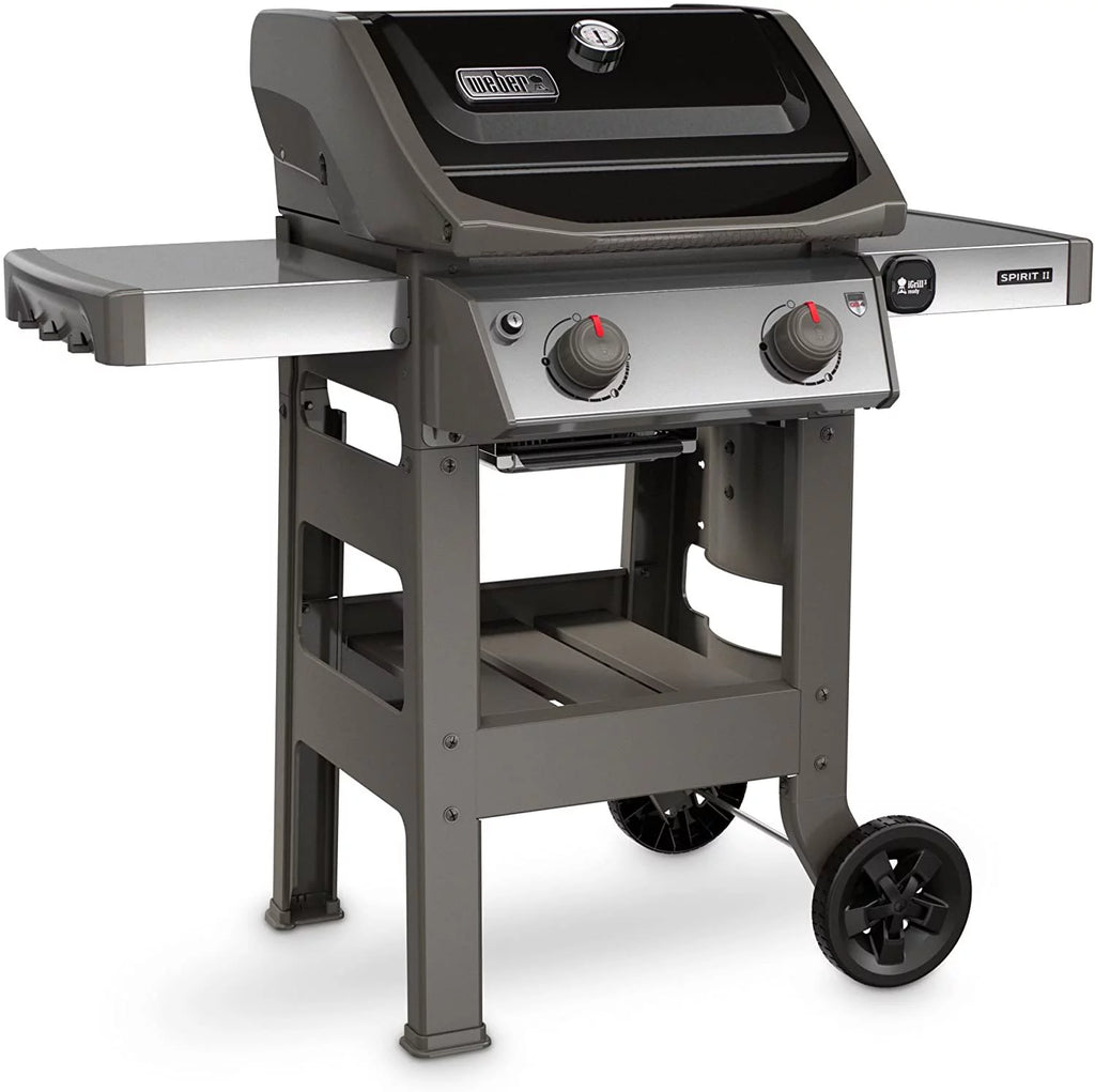 Black 2-Burner Liquid Propane Grill M128791