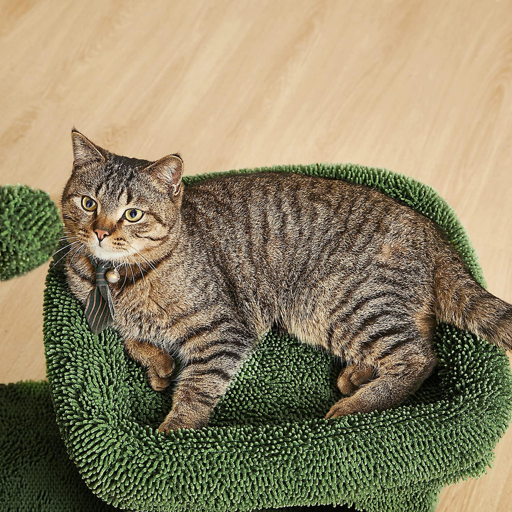 Green Cat Scratching Post Kitty Condo with Dangling Ball F831