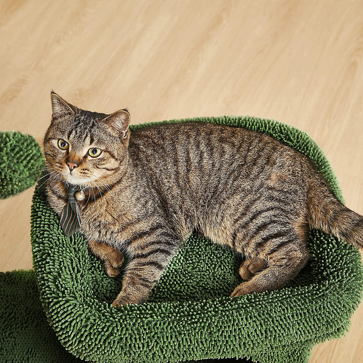 Green Cat Scratching Post Kitty Condo with Dangling Ball F831