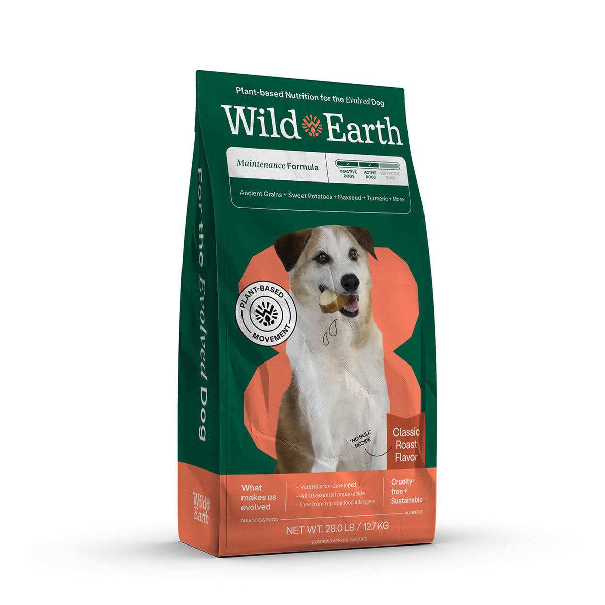 Dry Dog Food V65028