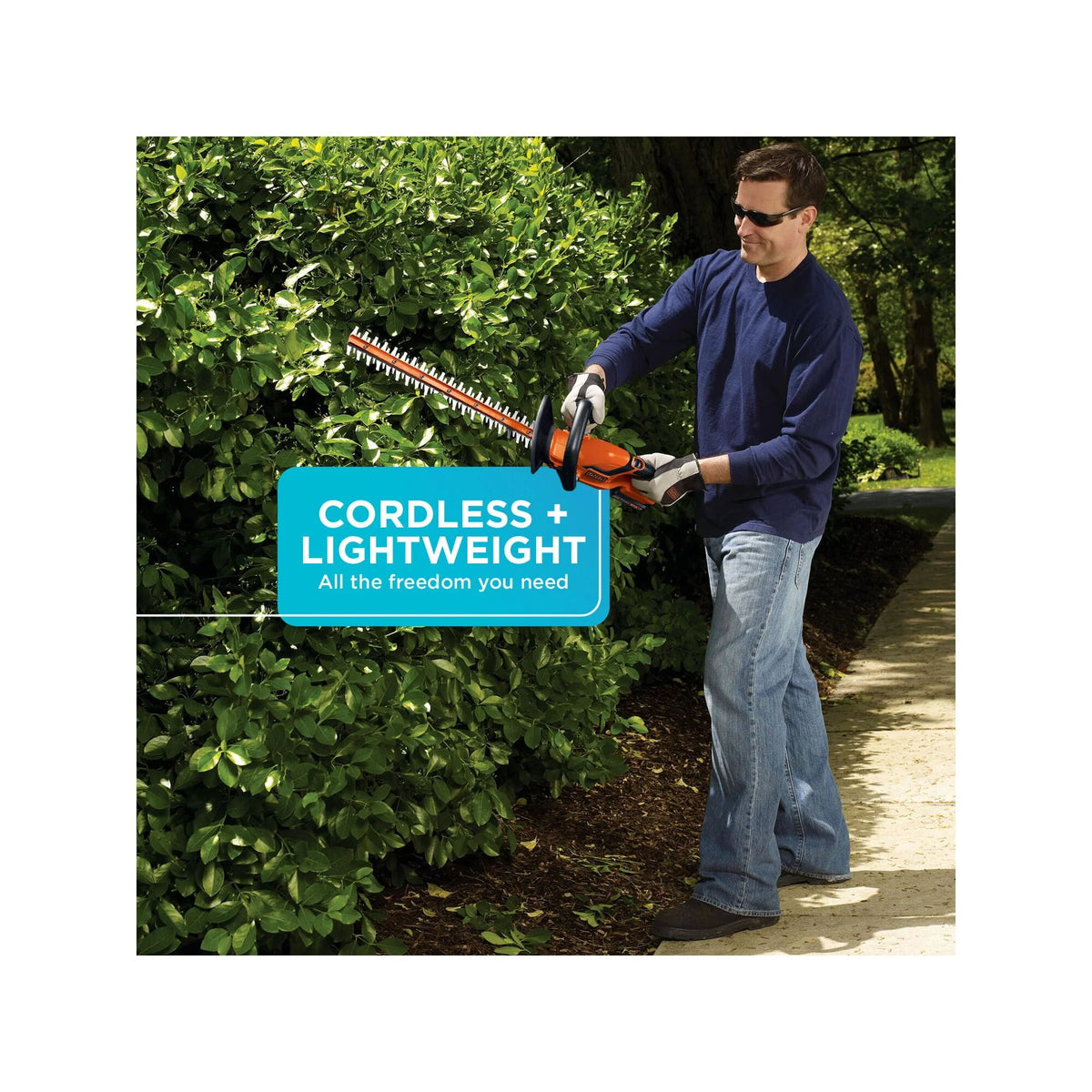 Cordless Lithium 22 in. Hedge Trimmer V17441