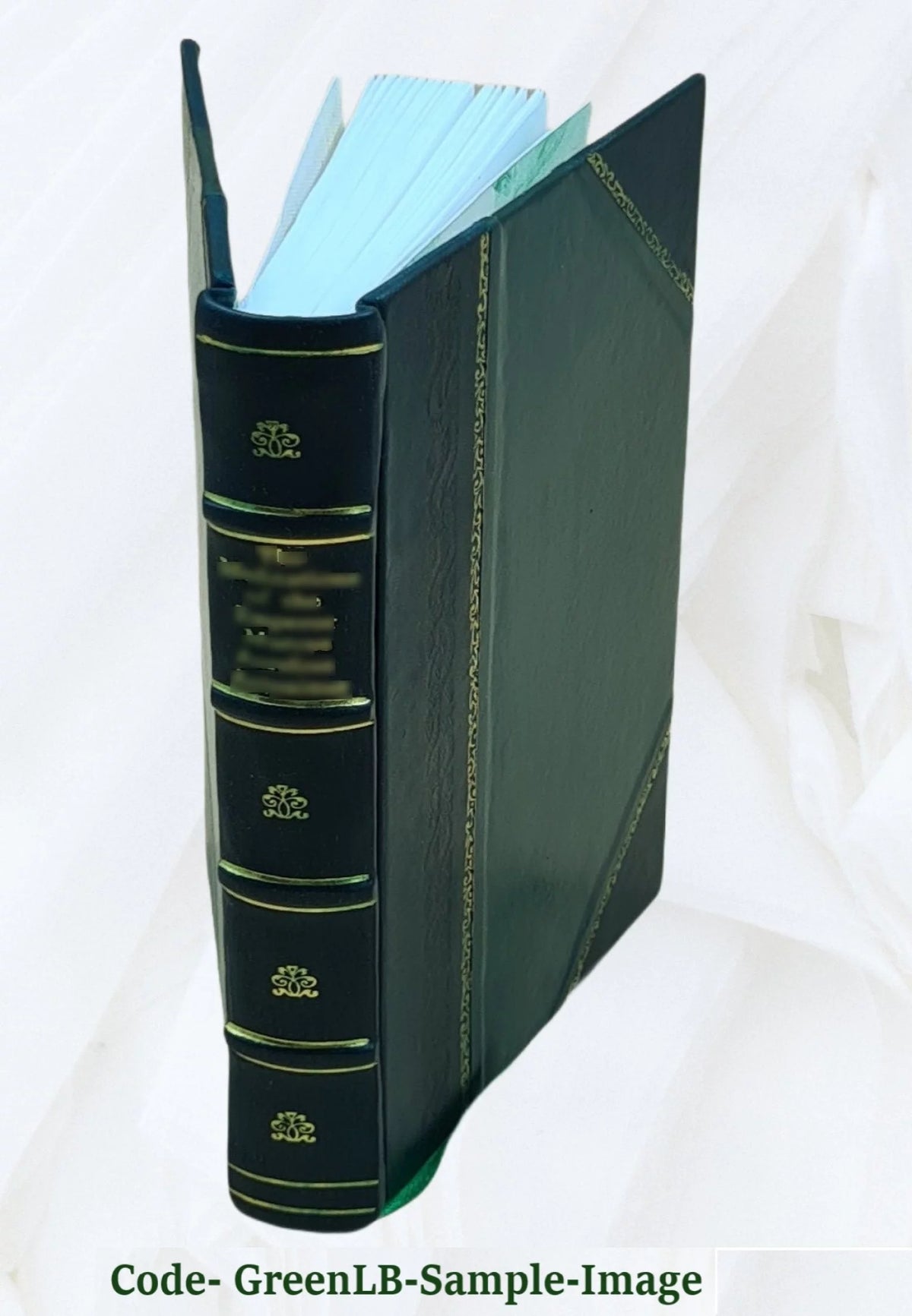 Leather Bound Book C731