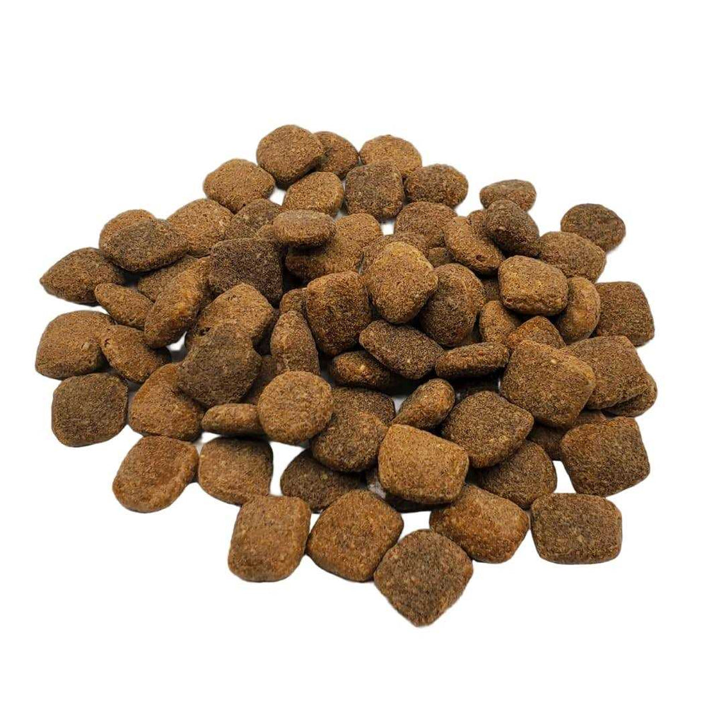 Chicken & Turkey Dry Dog Food L543656